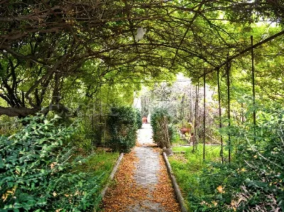 Villa in vendita a Ventimiglia - foto 5