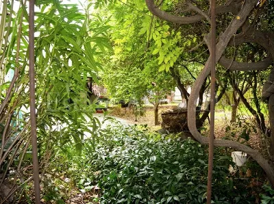 Villa in vendita a Ventimiglia - foto 7