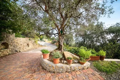 Villa in vendita a Ventimiglia - foto 7