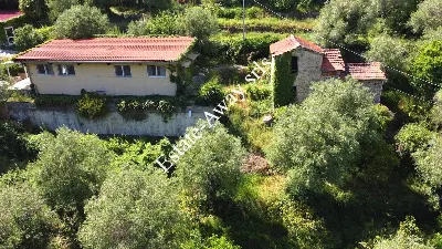 Villa in vendita a Vallebona - foto 2