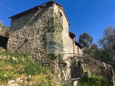 Villa in vendita a Vallebona - foto 6