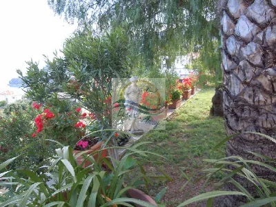 Villa in vendita a Ospedaletti - foto 6