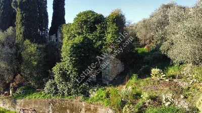 Rustico/Casale in vendita a Bordighera - foto 10