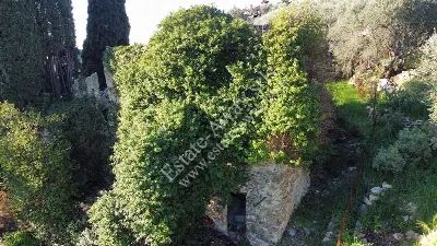 Rustico/Casale in vendita a Bordighera - foto 3