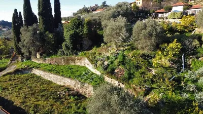 Rustico/Casale in vendita a Bordighera - foto 4