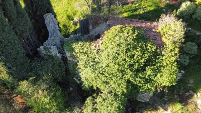 Rustico/Casale in vendita a Bordighera - foto 7