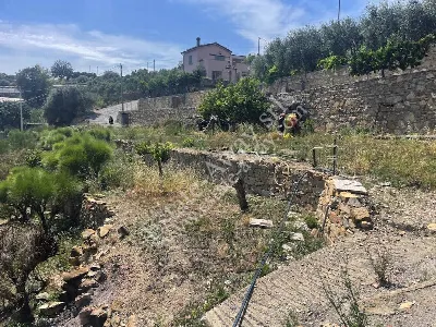 Rustico/Casale in vendita a Bordighera - foto 4