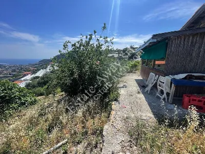 Rustico/Casale in vendita a Bordighera - foto 6