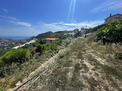 Rustico/Casale in vendita a Bordighera - foto 8