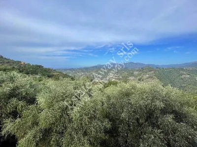 Casa Indipendente in vendita a Soldano - foto 5