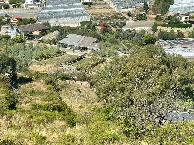 Rustico/Casale in vendita a Sanremo - foto 10