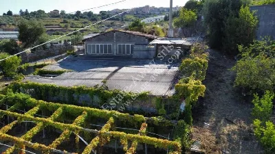 Rustico/Casale in vendita a Sanremo - foto 2
