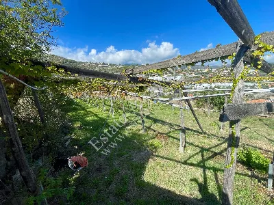 Rustico/Casale in vendita a Sanremo - foto 7