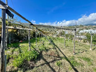 Rustico/Casale in vendita a Sanremo - foto 8