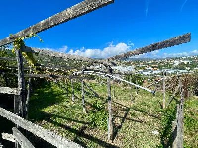 Rustico/Casale in vendita a Sanremo - foto 9