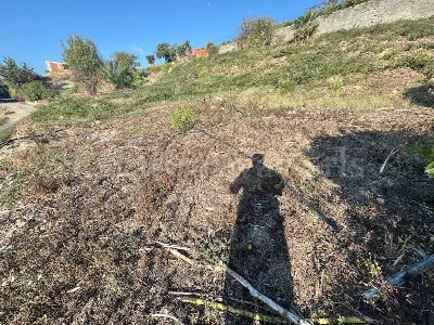 Rustico/Casale in vendita a Bordighera - foto 9