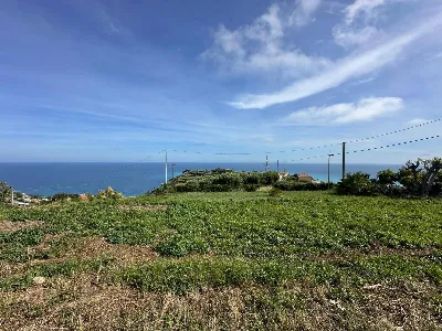 Villa in vendita a Bordighera - foto 2