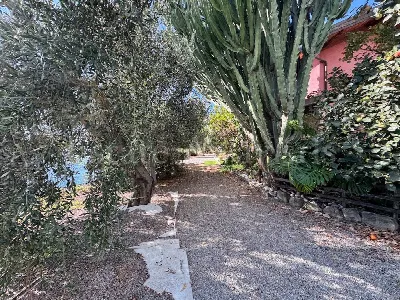 Villa in vendita a Bordighera - foto 5
