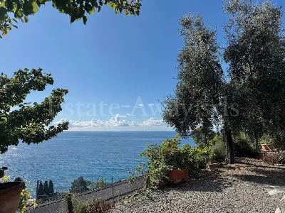 Villa in vendita a Bordighera - foto 6