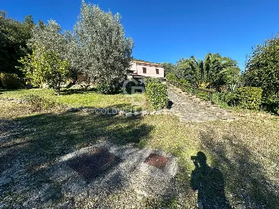 Villa in vendita a Pollica - foto 6