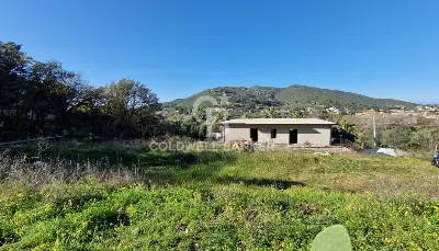 Casa Indipendente in vendita a Montecorice - foto 3