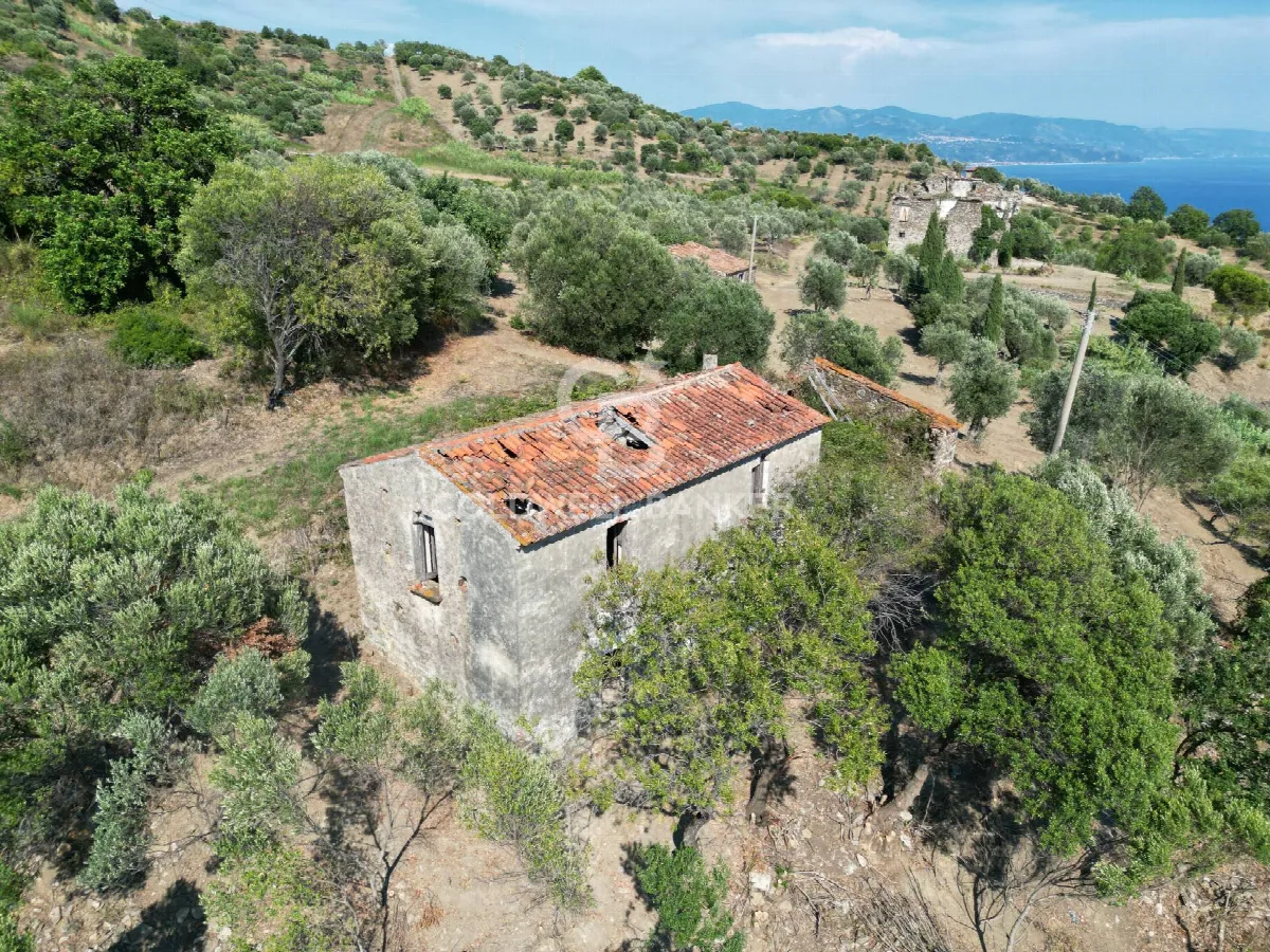 Rustico/Casale in vendita a Pollica - foto 2