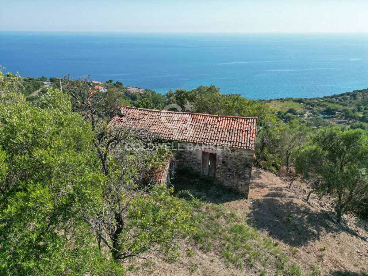 Rustico/Casale in vendita a Pollica - foto 4