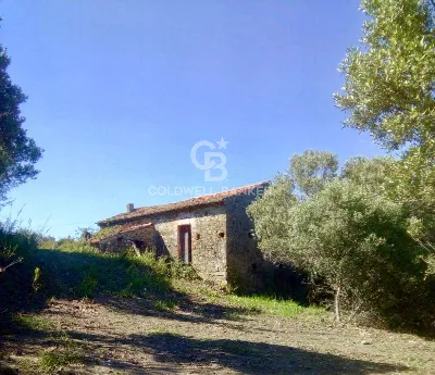 Rustico/Casale in vendita a Pollica - foto 8