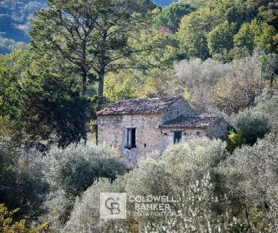 Rustico/Casale a Omignano