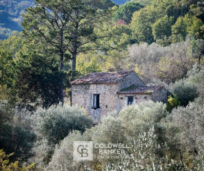Rustico/Casale in vendita a Omignano - foto 1