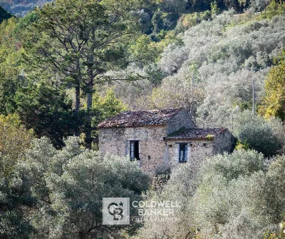 Rustico/Casale in vendita a Omignano - foto 3