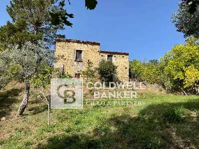 Rustico/Casale in vendita a Omignano - foto 4