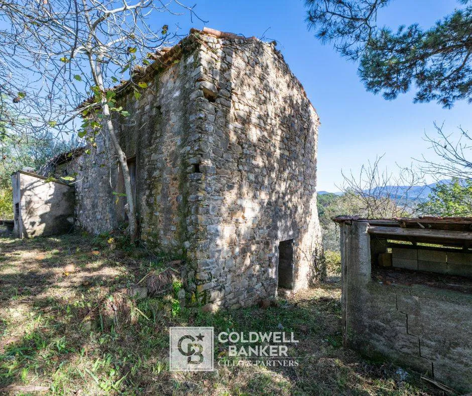 Rustico/Casale in vendita a Omignano - foto 5