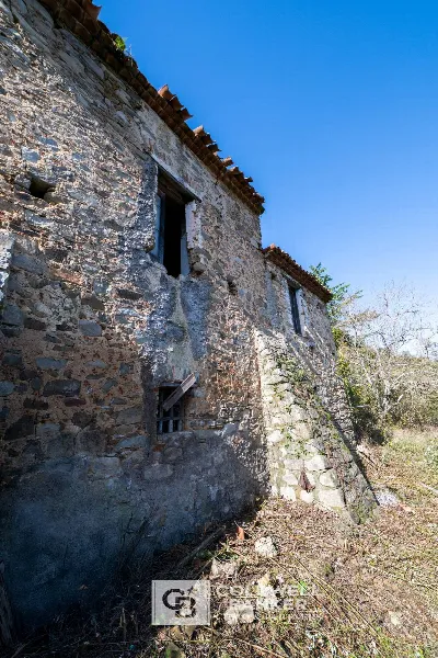 Rustico/Casale in vendita a Omignano - foto 7