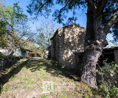 Rustico/Casale in vendita a Omignano - foto 9