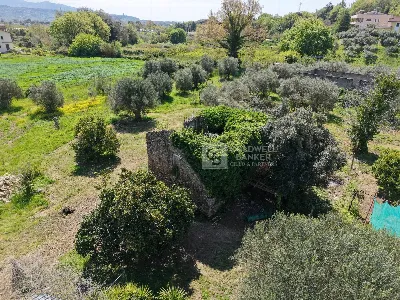 Rustico/Casale in vendita a Casal Velino - foto 6