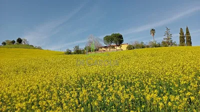 Villa in vendita a Castel di Lama - foto 2