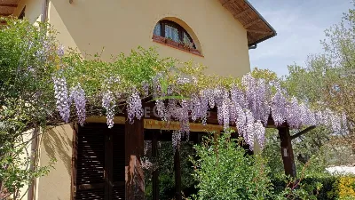 Villa in vendita a Castel di Lama - foto 7
