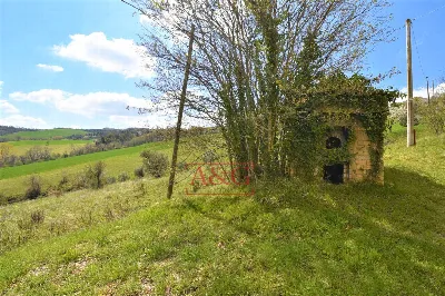 Rustico/Casale in vendita a Montefalcone A... - foto 9