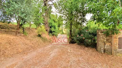 Rustico/Casale in vendita a Belmonte Picen... - foto 7
