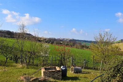 Rustico/Casale in vendita a Rapagnano - foto 10