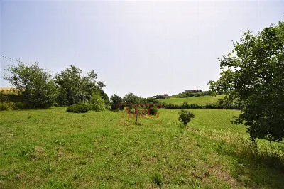 Rustico/Casale in vendita a Torre San Patr... - foto 10