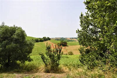 Rustico/Casale in vendita a Torre San Patr... - foto 7