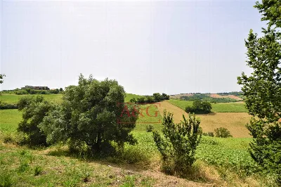Rustico/Casale in vendita a Torre San Patr... - foto 8