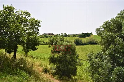 Rustico/Casale in vendita a Torre San Patr... - foto 9