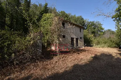 Rustico/Casale in vendita a Massa Fermana - foto 10