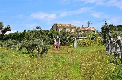 Rustico/Casale in vendita a Recanati - foto 5