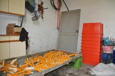 Rustico/Casale in vendita a Comunanza - foto 6