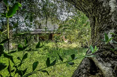Rustico/Casale in vendita ad Altidona - foto 10