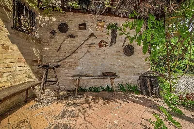 Rustico/Casale in vendita ad Altidona - foto 6